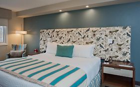 The Kenilworth Hotel - Airport West